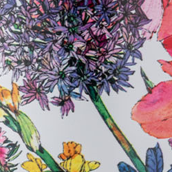 Swatch Clima Bottle | Begonia - 850 ml