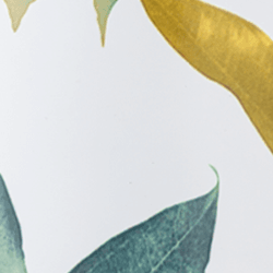 Swatch Clima Bottle | Tivoli - 500 ml